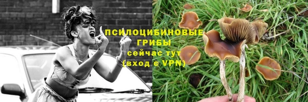 шишки Вязьма