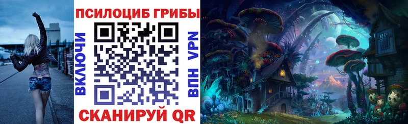 Галлюциногенные грибы Magic Shrooms  Купить где  Новохопёрск 